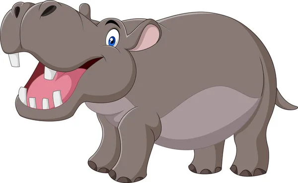 Cartoon lachende hippo geïsoleerd op witte achtergrond — Stockvector