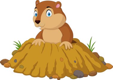 Cartoon funny groundhog standing outside its burrow clipart