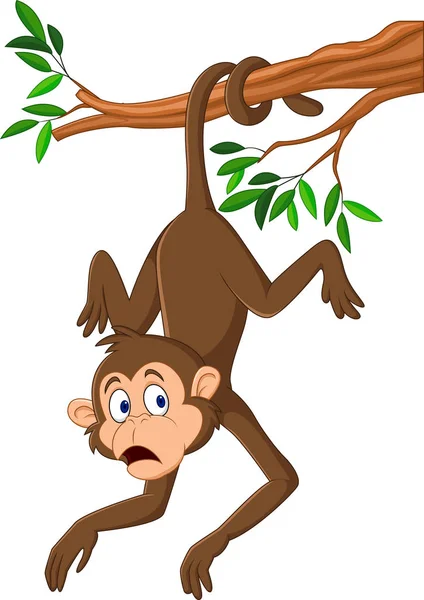 Kreskówka małpa wisi na gałęzi drzewa z ogonem — Wektor stockowy
