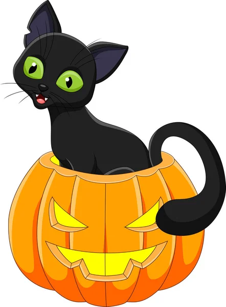 Chat noir dessin animé assis dans la citrouille d'Halloween — Image vectorielle