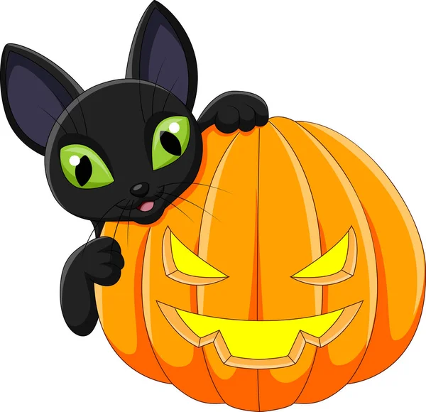 Desenhos animados gato preto segurando abóbora Halloween — Vetor de Stock