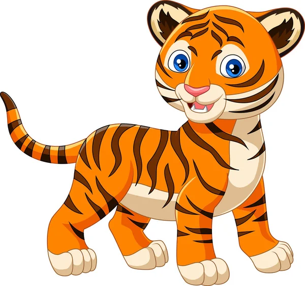 Cartoon baby tiger isolated on white background — Stock Vector