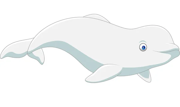 Cartoon beluga isolated on white background — Stock Vector