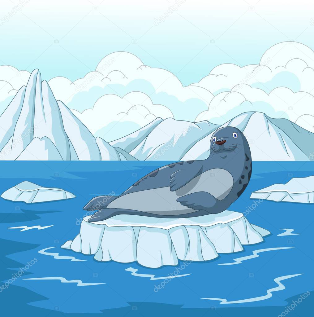 Cartoon seal on ice floe