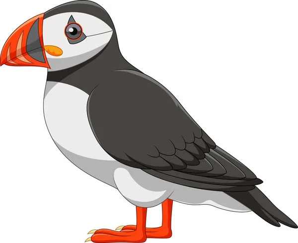 Cartoon puffin isolerad på vit bakgrund — Stock vektor