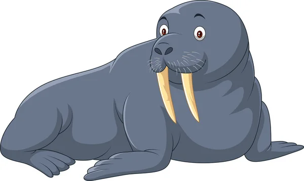 Cartoon walrus isolated on white background — Stock Vector