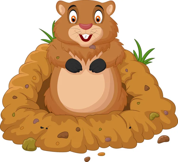 Мультфільм groundhog дивиться з отвору — стоковий вектор