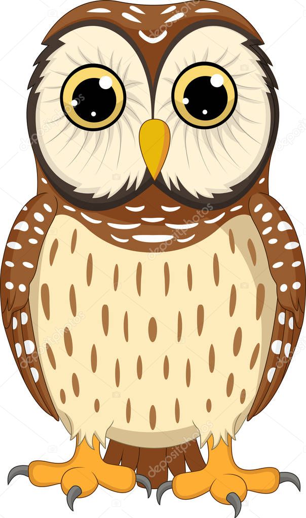 Cartoon owl isolated on white background