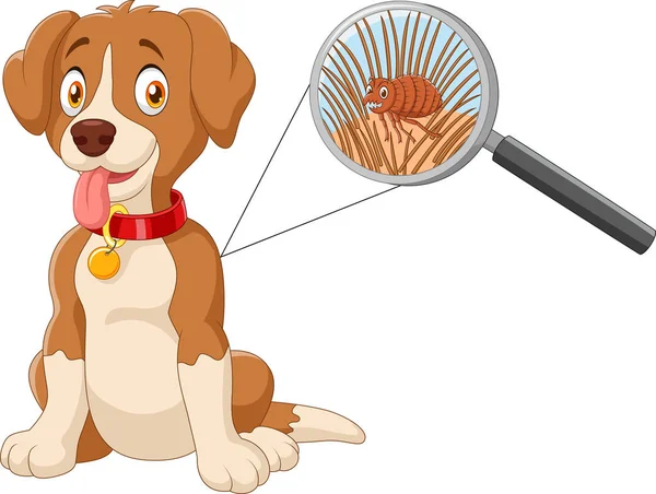 Illustrazione vettoriale del cane infestato dalle pulci — Vettoriale Stock