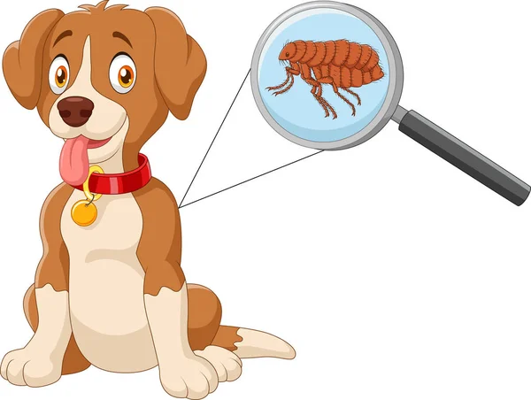 Ilustración vectorial del perro infestado de pulgas — Archivo Imágenes Vectoriales