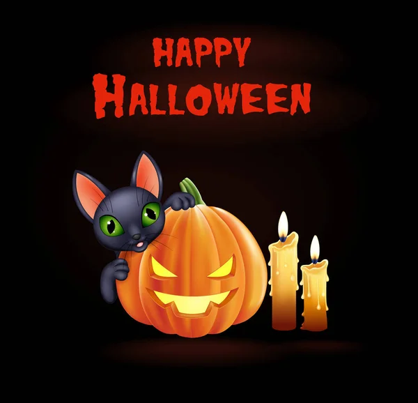 Fondo de Halloween con gato negro y calabaza — Vector de stock