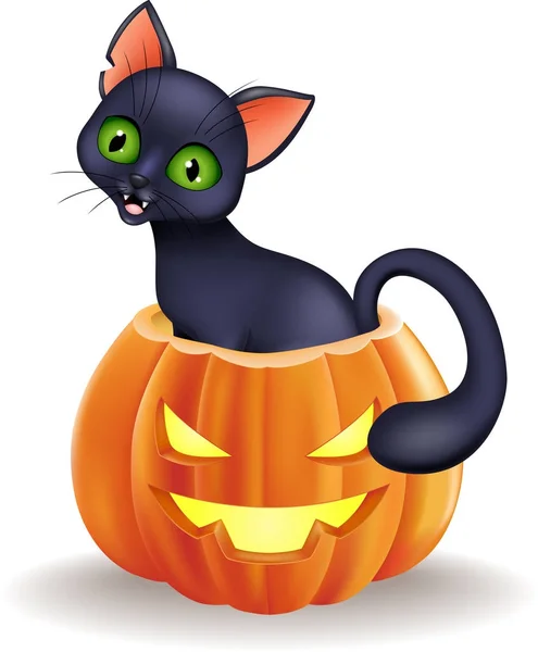 Chat noir dessin animé assis dans la citrouille d'Halloween — Image vectorielle
