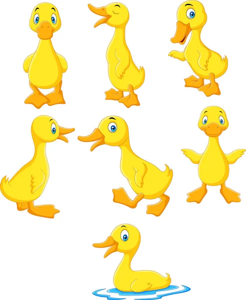 Cartoon Baby Duck Collection Set — Stock Vector