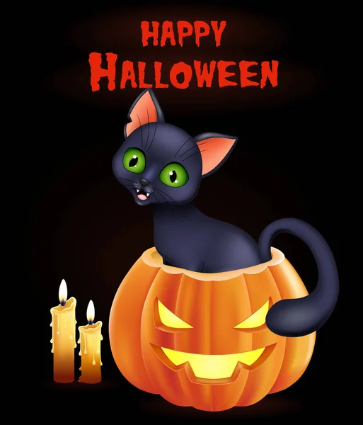 Halloween Background Cat Sitting Pumpkin — Stock Vector