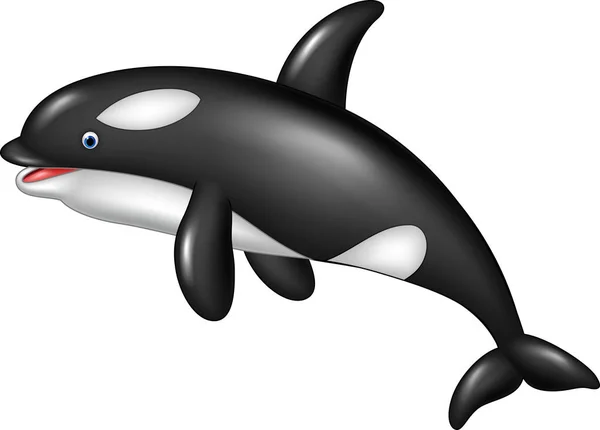 Dibujos Animados Orca Aislado Sobre Fondo Blanco — Vector de stock