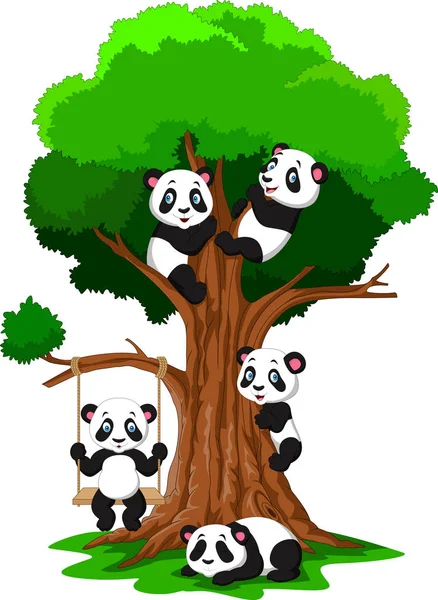 Cartoon Baby Panda Spielt Auf Einem Baum — Stockvektor