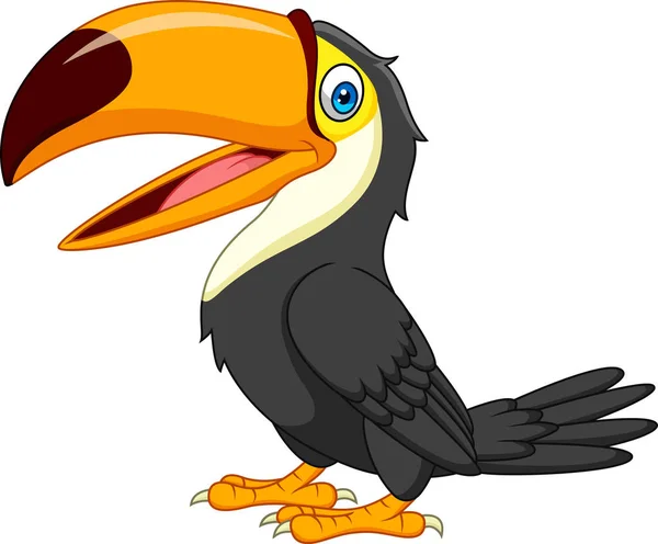 Cartoon Toucan Geïsoleerd Witte Achtergrond — Stockvector
