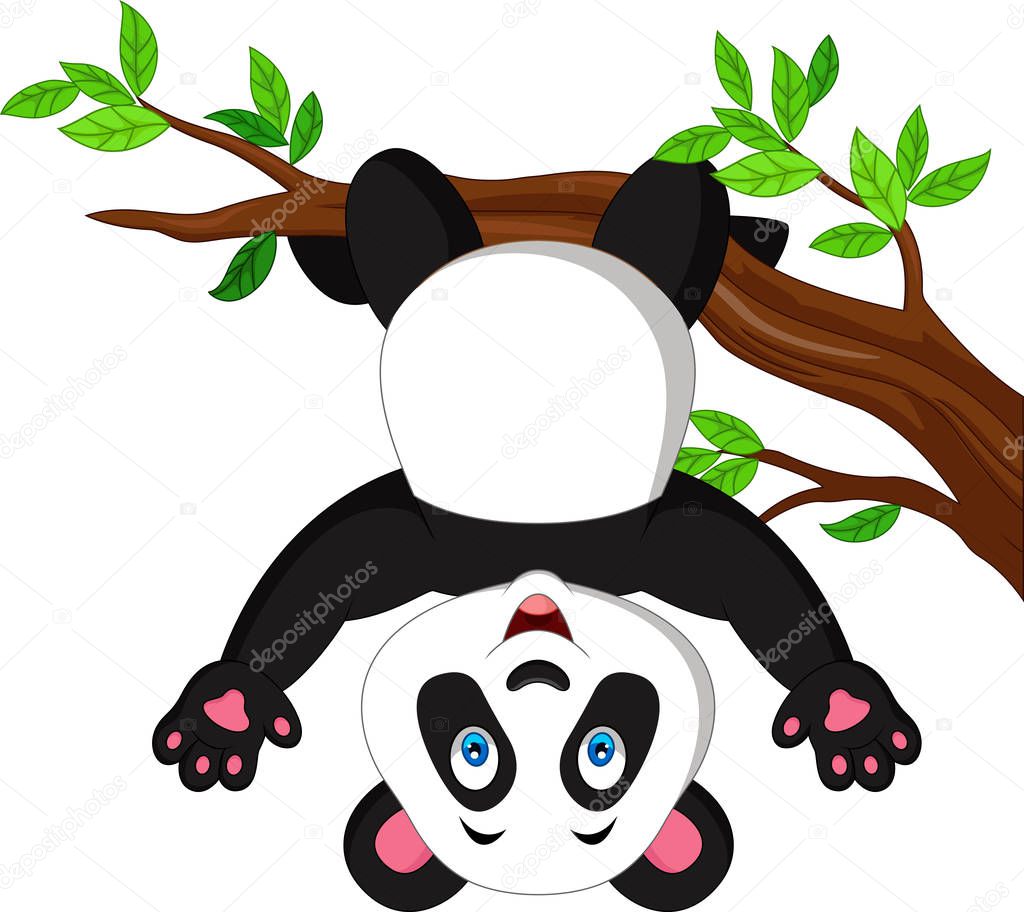 Cartoon panda hanging on tree branch