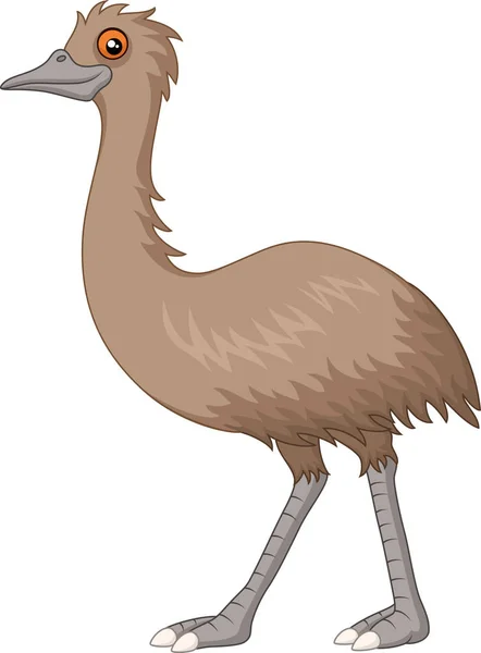 Cartoon Emu Geïsoleerd Witte Achtergrond — Stockvector