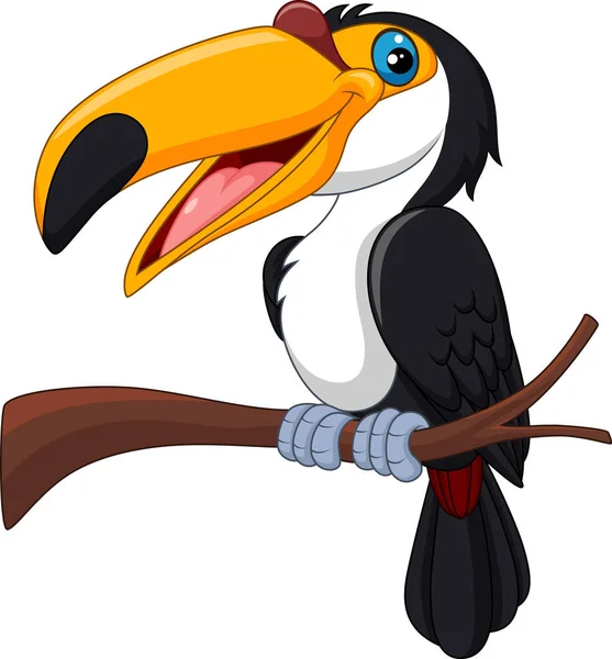 Cartoon Toucan Πουλί Απομονώνονται Λευκό Φόντο — Διανυσματικό Αρχείο