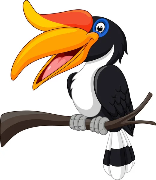 Illustrazione Vettoriale Cartoon Hornbill Bird — Vettoriale Stock