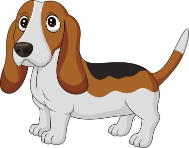 Karikatür köpek Basset Hound beyaz arka plan üzerinde izole