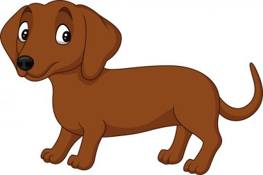Çizgi film dachshund köpeği beyaz arkaplanda izole edildi
