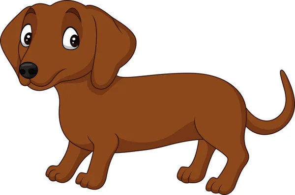 Cartoon Dachshund Dog Isolated White Background — Stock Vector