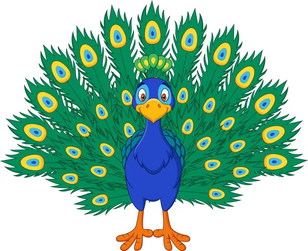 Dibujos Animados Hermoso Pavo Real Aislado Sobre Fondo Blanco — Vector de stock