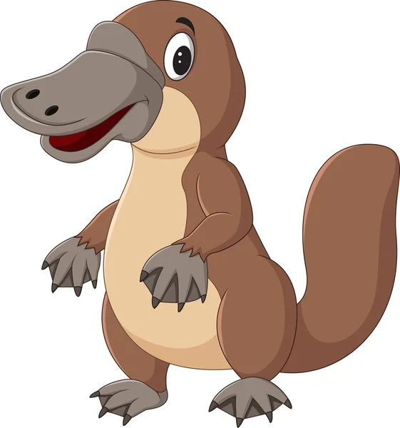 Cartoon Platypus Geïsoleerd Witte Achtergrond — Stockvector