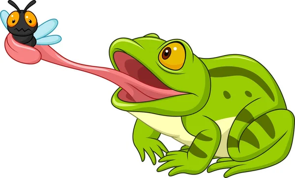 Cartoon Frog Catching Fly — Stock Vector
