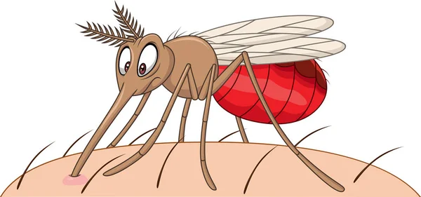 Karikatura Komár Sání Krve — Stockový vektor