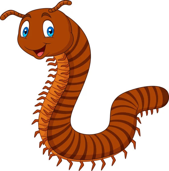Cartoon Happy Millipedes Isolated White Background — Stock Vector