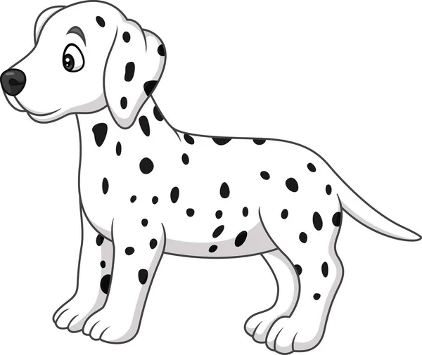 Baby Dalmatian Dog Breed — Stock Vector