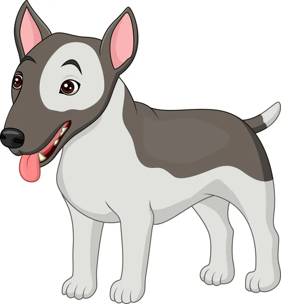 Bull Terrier Hondenras — Stockvector