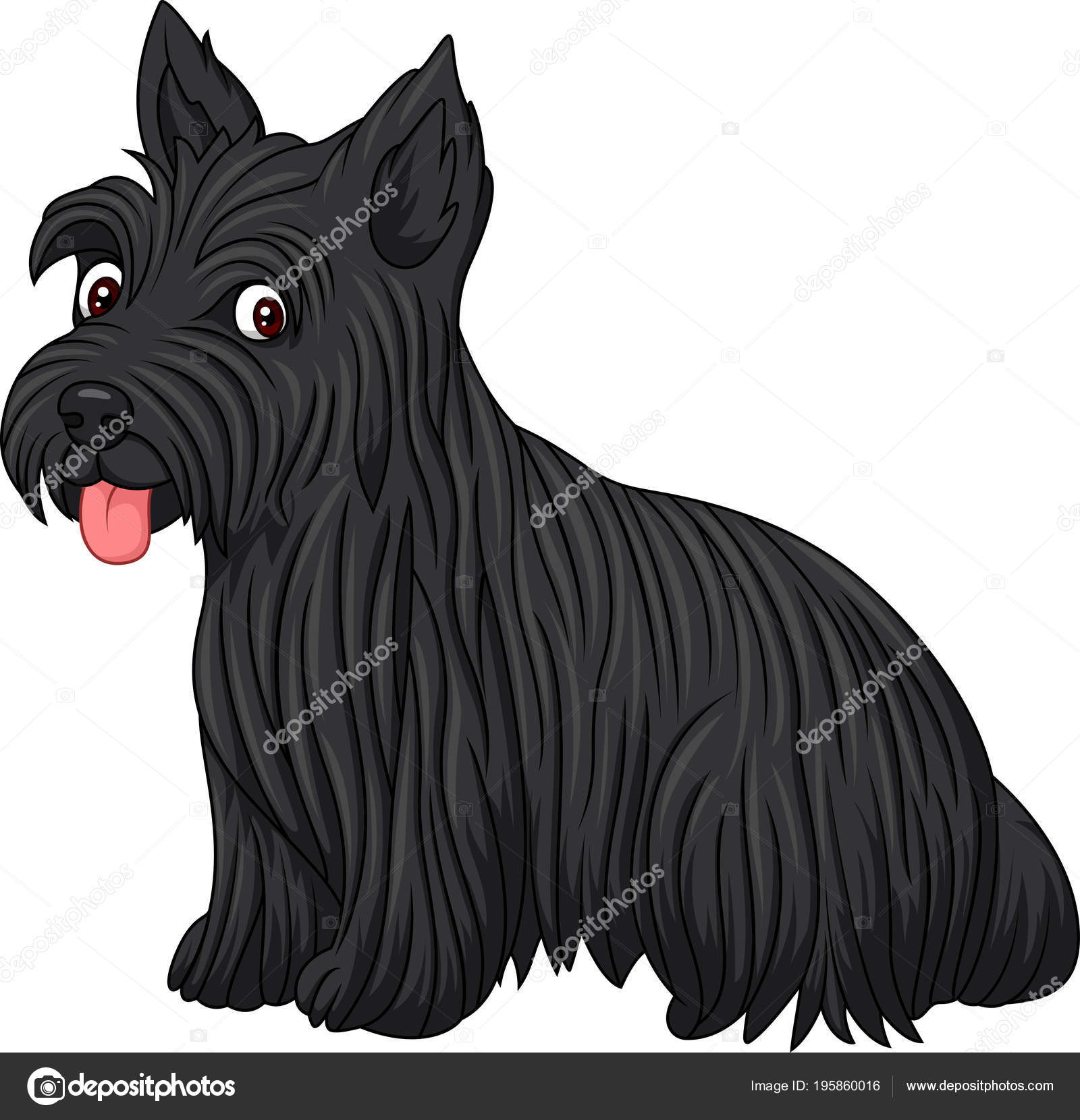 Race Chien Terrier écossais Image Vectorielle Tigatelu