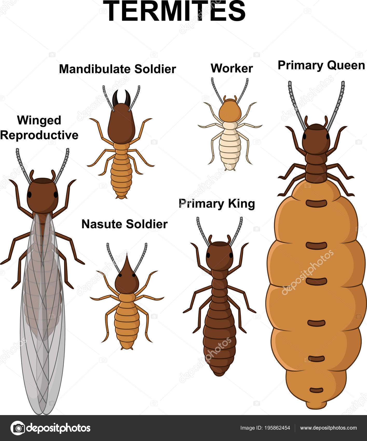 Featured image of post Cute Termite Cartoon Copyrights and trademarks for the cartoon and other promotional materials are held by their respective owners and