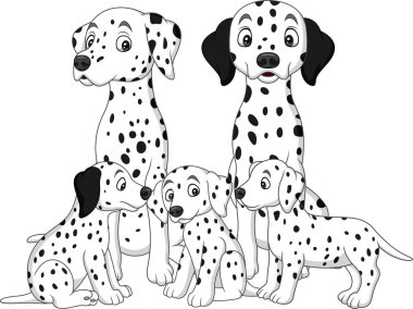 Dalmaçyalı köpeklerin ailesi