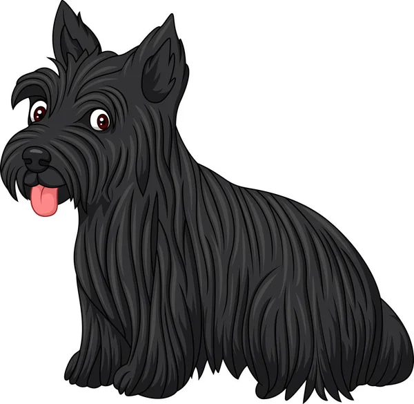 Escocês Terrier Raça Cão —  Vetores de Stock