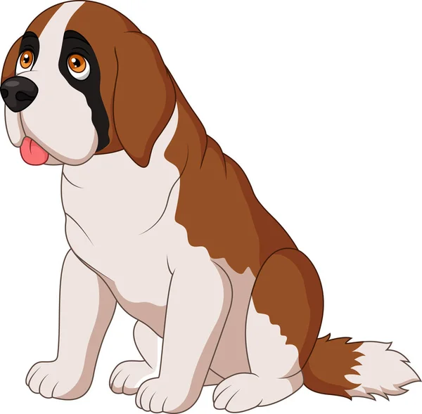 セントバーナード犬の品種 — ストックベクタ