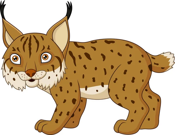 Cartoon Luchs Isoliert Auf Weißem Hintergrund — Stockvektor