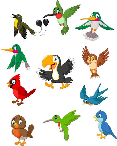 Colección Aves Dibujos Animados Conjunto — Vector de stock