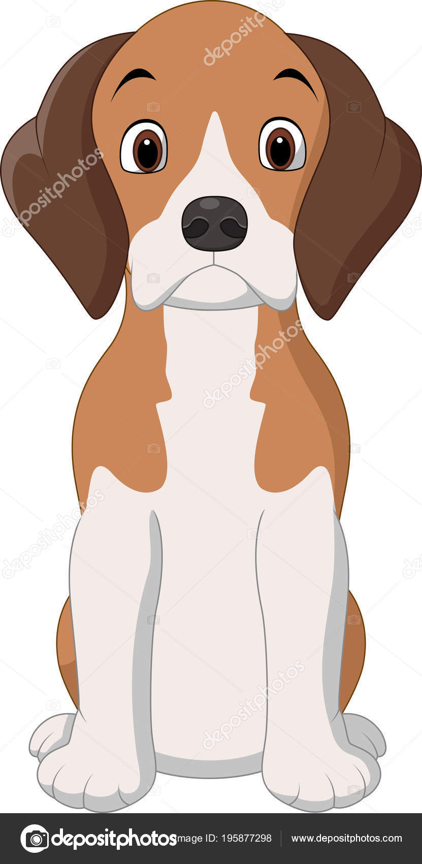 Beagle Köpek Bakımı Beagle Köpek Bakımı