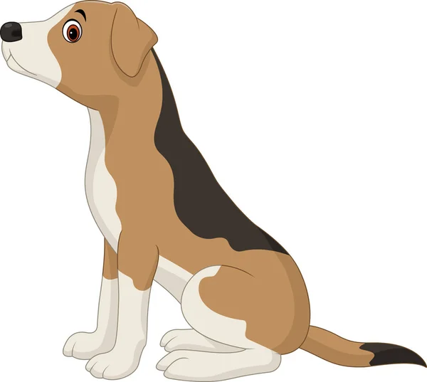 Perro Sentado Aislado Sobre Fondo Blanco — Vector de stock