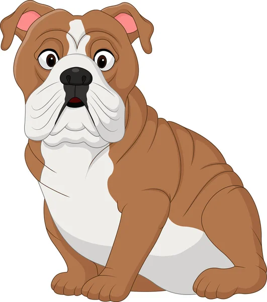 Cartoon Bulldog Sitting Isolated White Background — Stock Vector