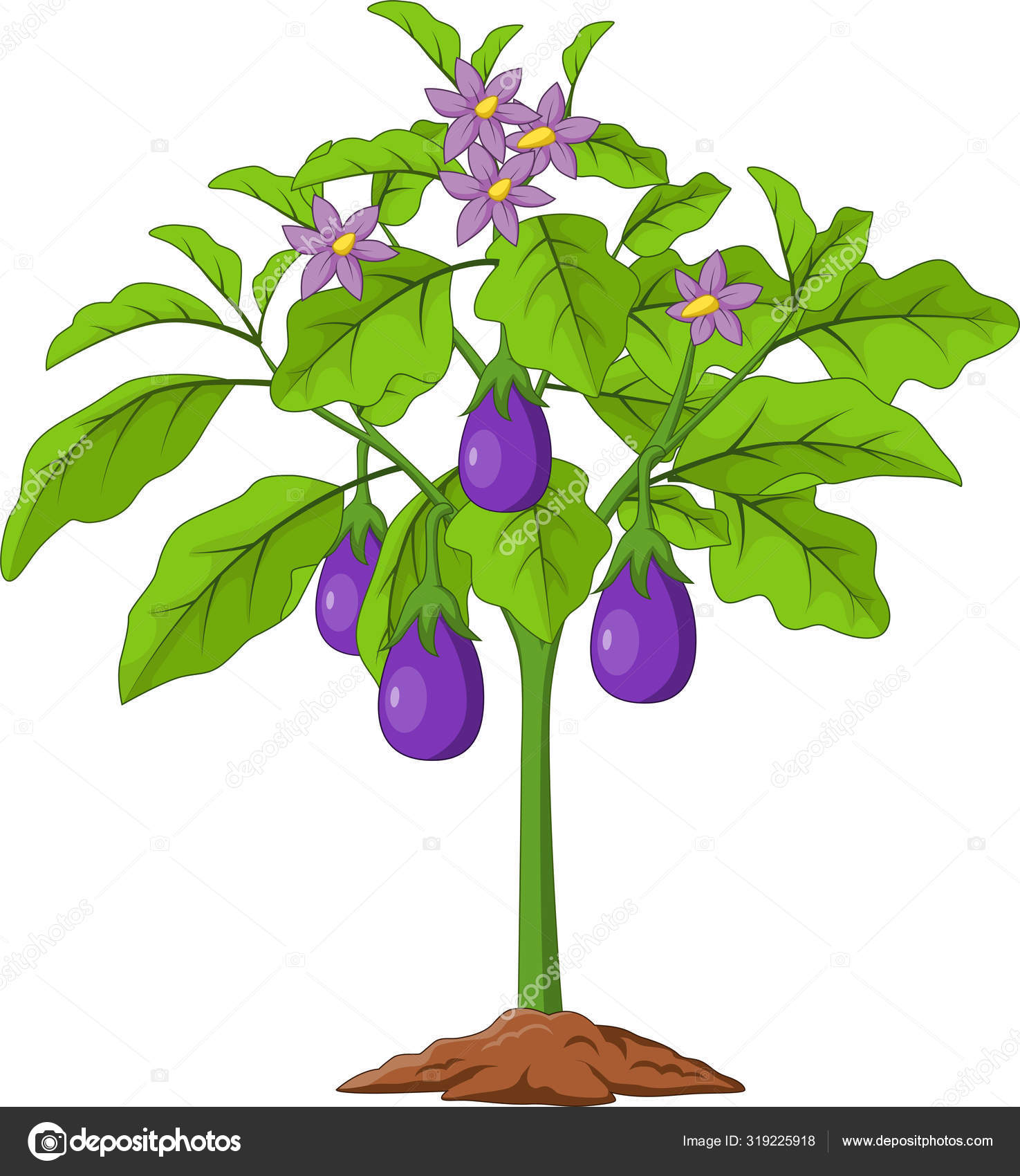 白い背景に隔離された漫画のナスのベクトルイラスト ストックベクター C Tigatelu