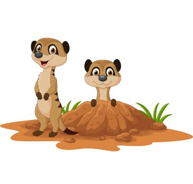 Vector illustration of Cartoon two Meerkats on white background clipart