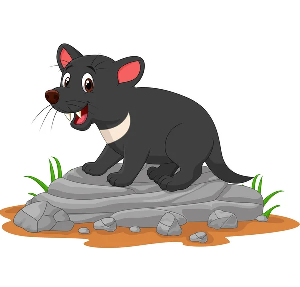 Vector Illustratie Van Cartoon Tasmanian Duivel Rots — Stockvector