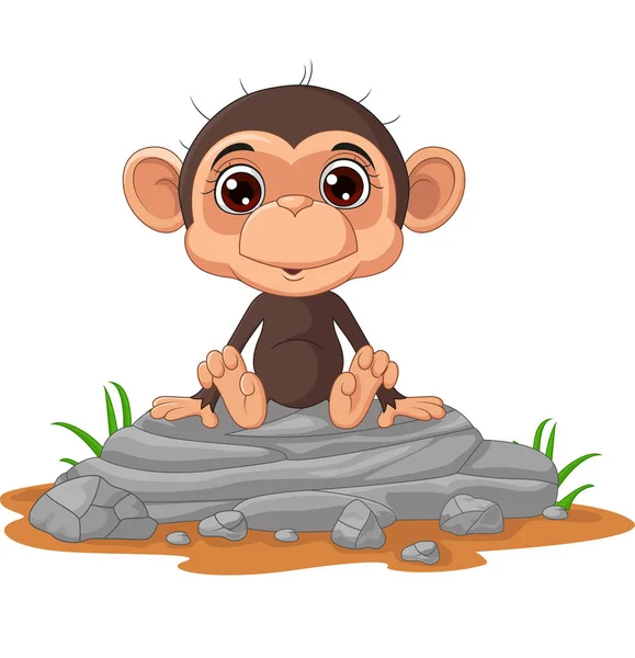 Vector Illustration Cute Baby Monkey Cartoon Sitting Rock — Stock Vector