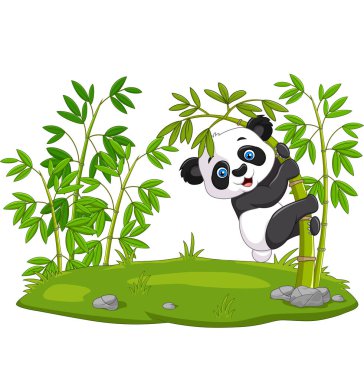 Bambu üzerinde asılı şirin bebek pandanın vektör çizimi